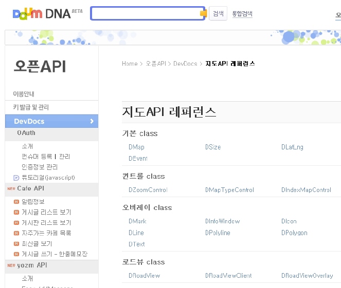 DAUM DNA