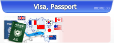 Visa, Passport