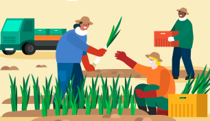 Người lao động nước ngoài thời vụ    
