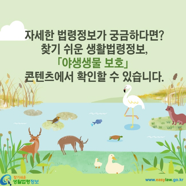 자세한 법령정보가 궁금하다면? 찾기 쉬운 생활법령정보, 「야생생물 보호」 콘텐츠에서 확인할 수 있습니다.