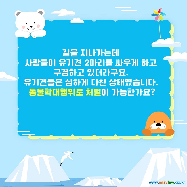 길을 지나가는데  사람들이 유기견 2마리를 싸우게 하고  구경하고 있더라구요.  유기견들은 심하게 다친 상태였습니다.  동물학대행위로 처벌이 가능한가요?