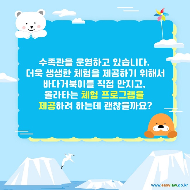 수족관을 운영하고 있습니다.  더욱 생생한 체험을 제공하기 위해서 바다거북이를 직접 만지고,  올라타는 체험 프로그램을  제공하려 하는데 괜찮을까요?