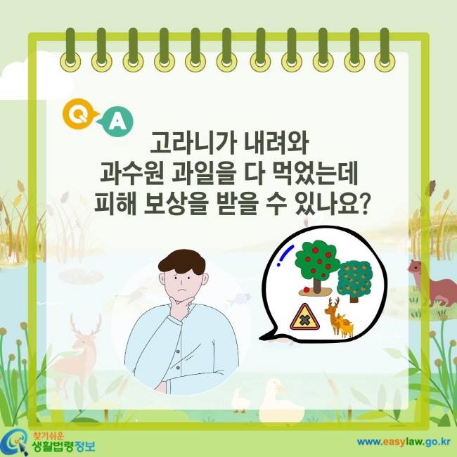 고라니가 내려와 과수원 과일을 다 먹었는데 피해 보상을 받을 수 있나요?